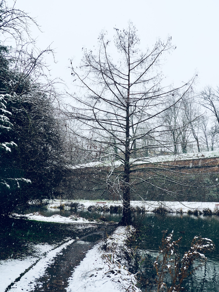Strasbourg sous la neige