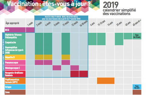 Calendrier vaccination