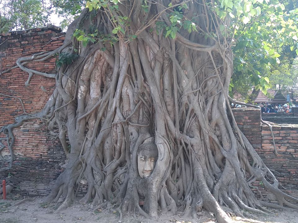 Ayutthaya