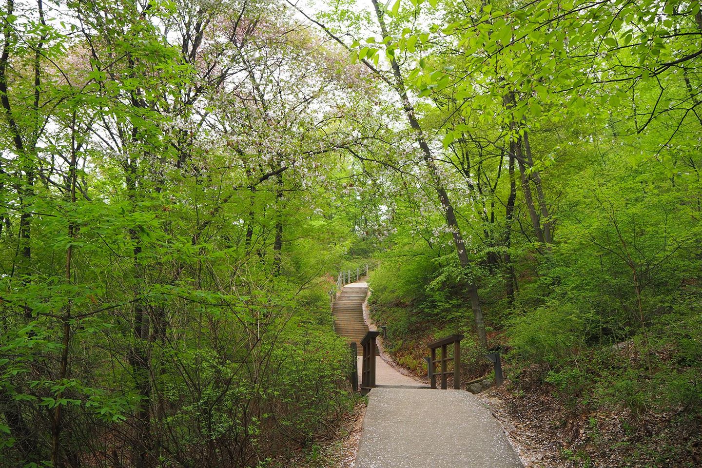 Centre géographique de Séoul